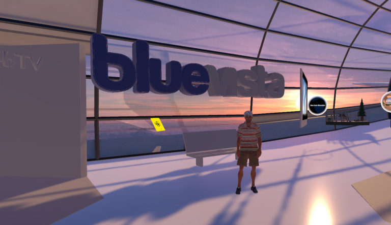 metaverse interactif bluevista